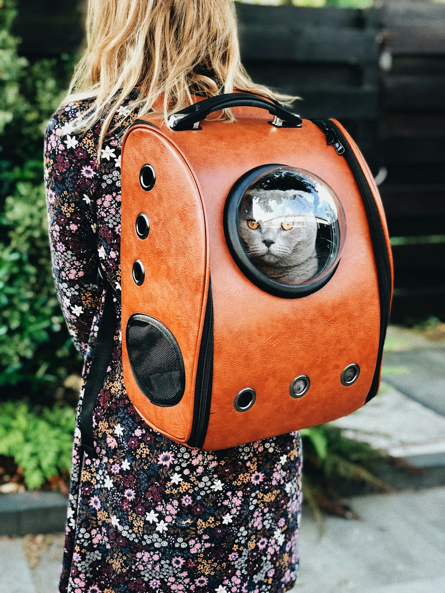 Il Tuo Gatto in Viaggio: Semplifica lo Spostamento